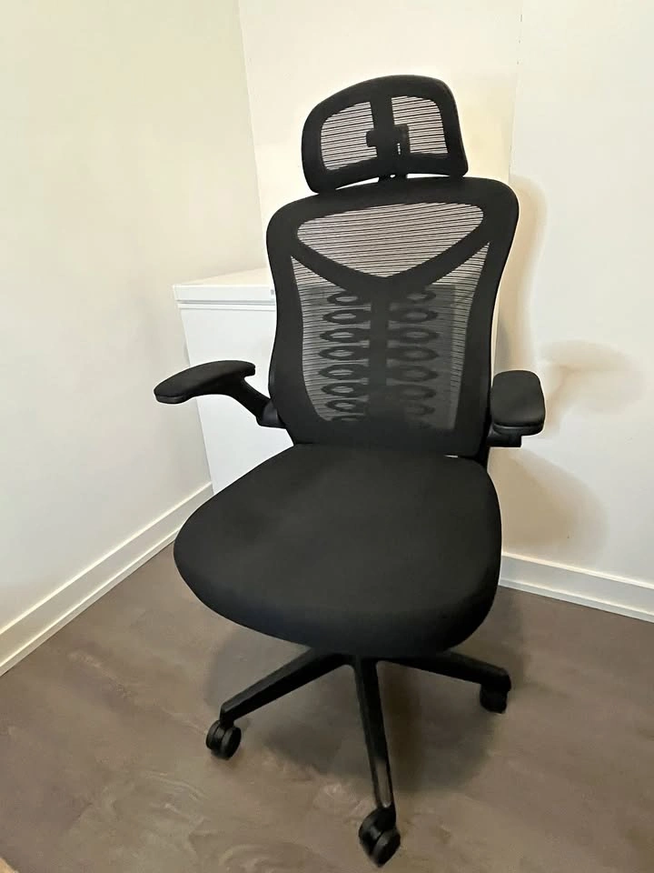 Ergonomic Office Chair (Mesh, Adjustable)