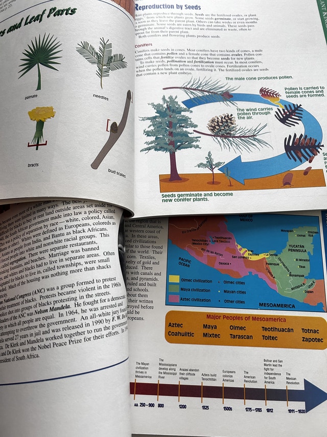 Scholastic Science and World History Homework Guides - photo 4