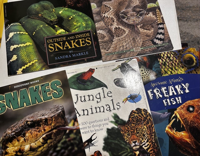 Reptile and Jungle Animal Book Collection