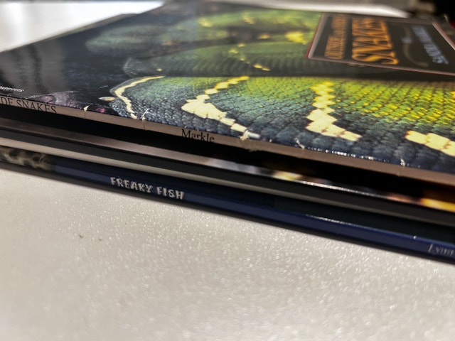 Reptile and Jungle Animal Book Collection - photo 2