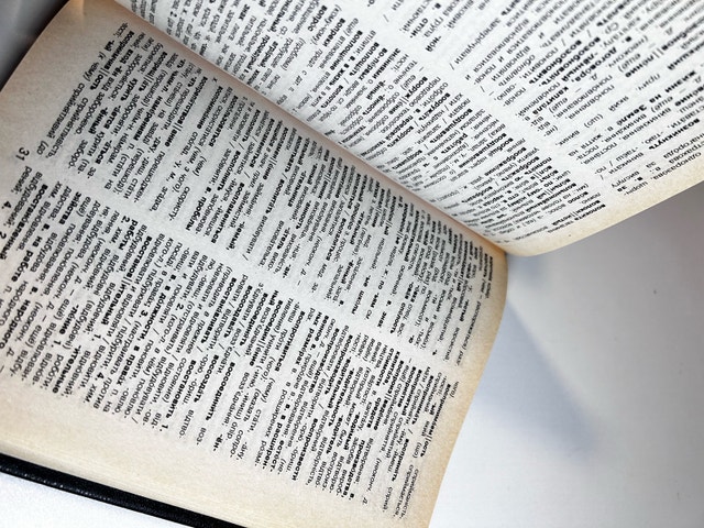 Russian Ukrainian Dictionary - photo 3
