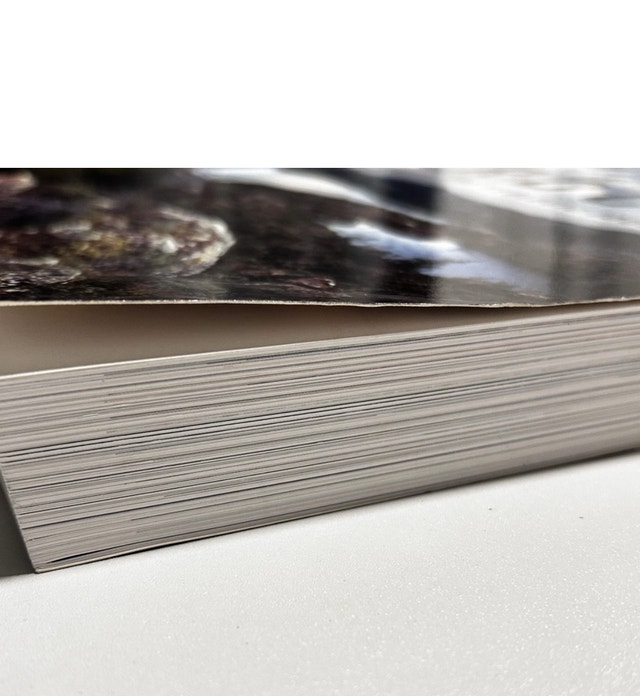 Canada Rocks The Geologic Journey Book 511 pages - photo 2