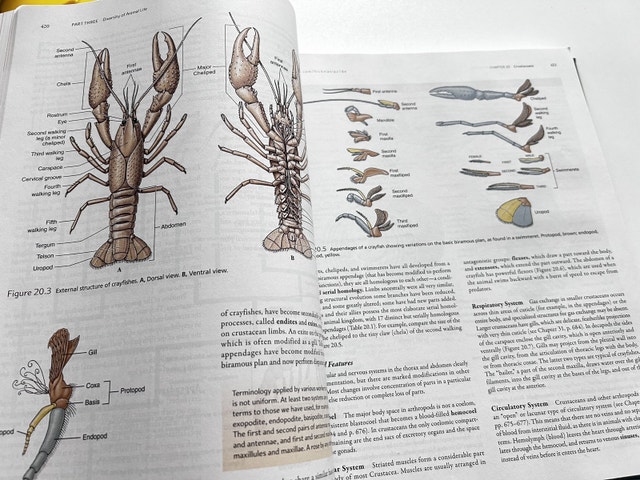 Integrated Principles of Zoology 16th Edition Hardcover - photo 4