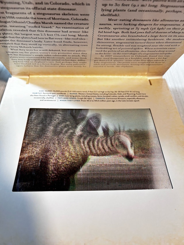 DINOSAUR Photicular Book - photo 3