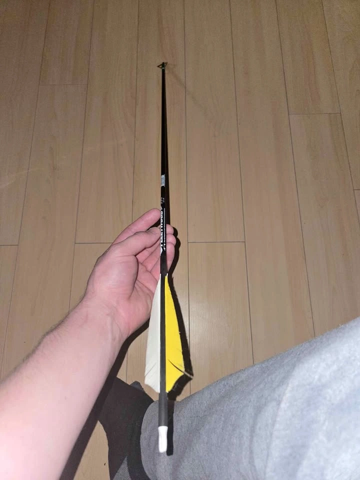 1 Carbon Arrow - 350 Grain, 30 Inch Draw