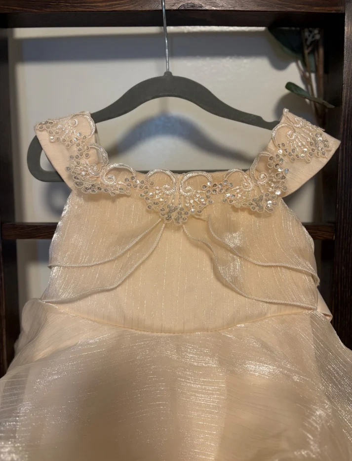 3T Toddler Girl Champagne Coloured Dress - photo 2