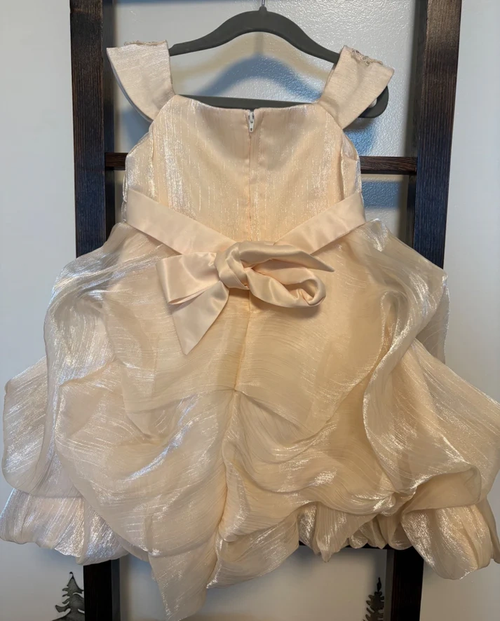 3T Toddler Girl Champagne Coloured Dress - photo 3