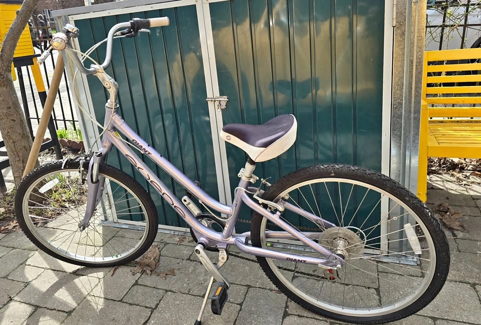 Pristine Lavender Giant Suede 5-Point Comfort Bike (Toronto Loca