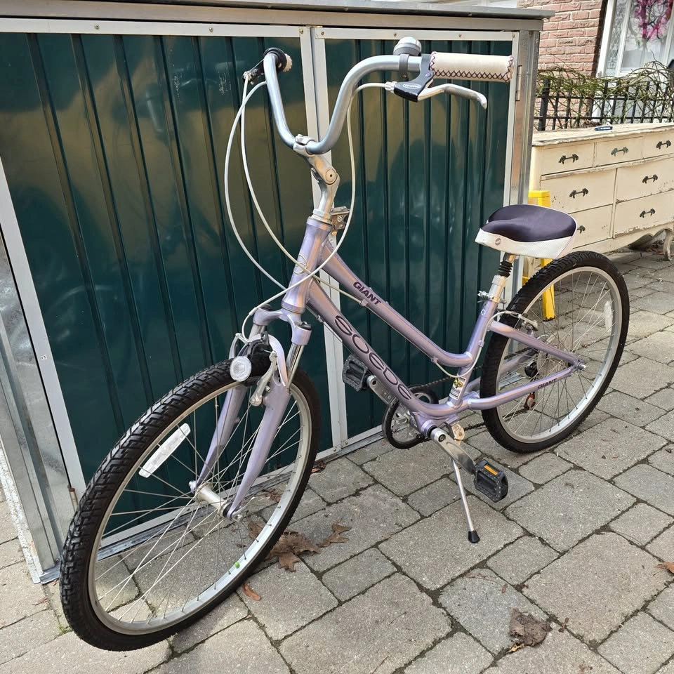 Pristine Lavender Giant Suede 5-Point Comfort Bike (Toronto Loca - photo 2