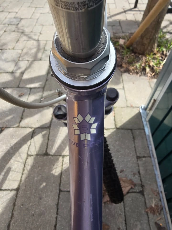 Pristine Lavender Giant Suede 5-Point Comfort Bike (Toronto Loca - photo 4