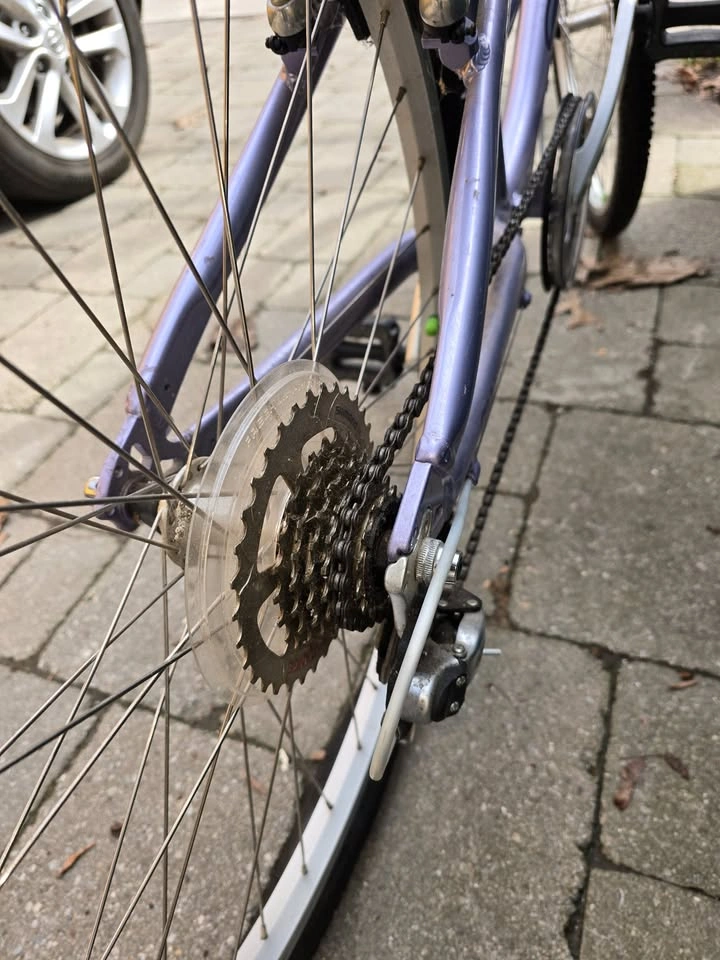 Pristine Lavender Giant Suede 5-Point Comfort Bike (Toronto Loca - photo 5