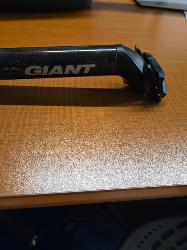 Giant Carbon Seatpost
