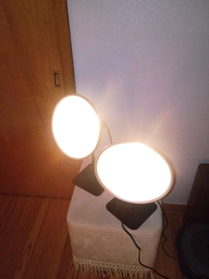 Victor Smith Photography/Video Lamps (Set of 2) - photo 2