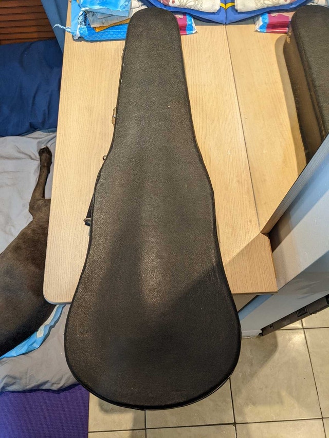 Violin Case