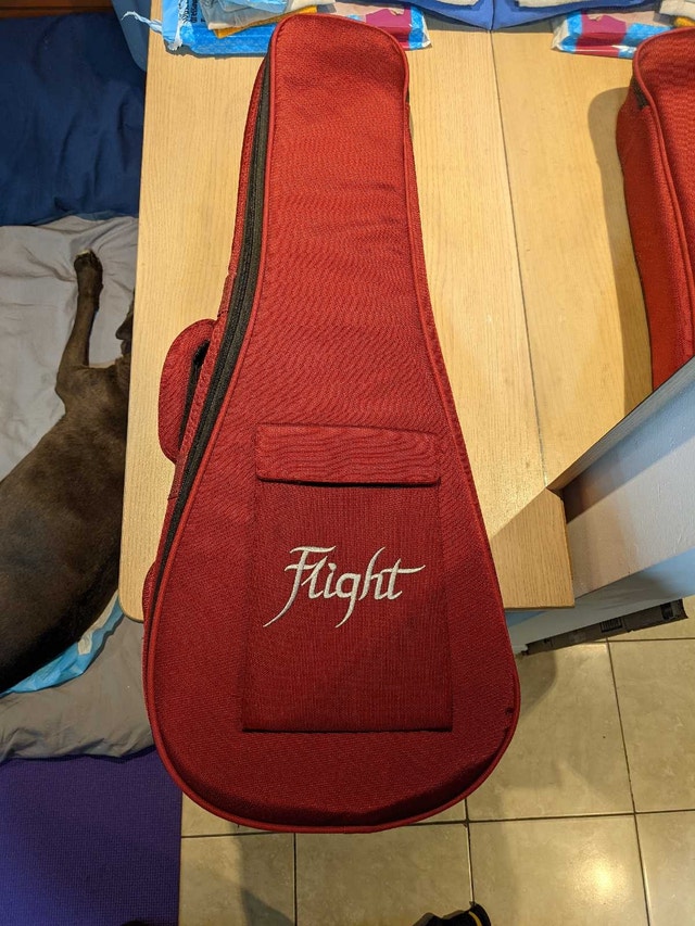 Flight Ukulele/Violin Case