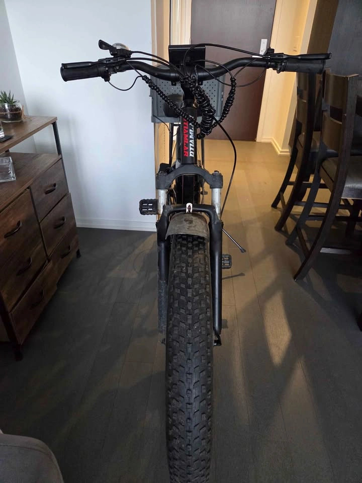E-BIKE FAT TIRE 1500W 48V (50KM/H) - photo 3