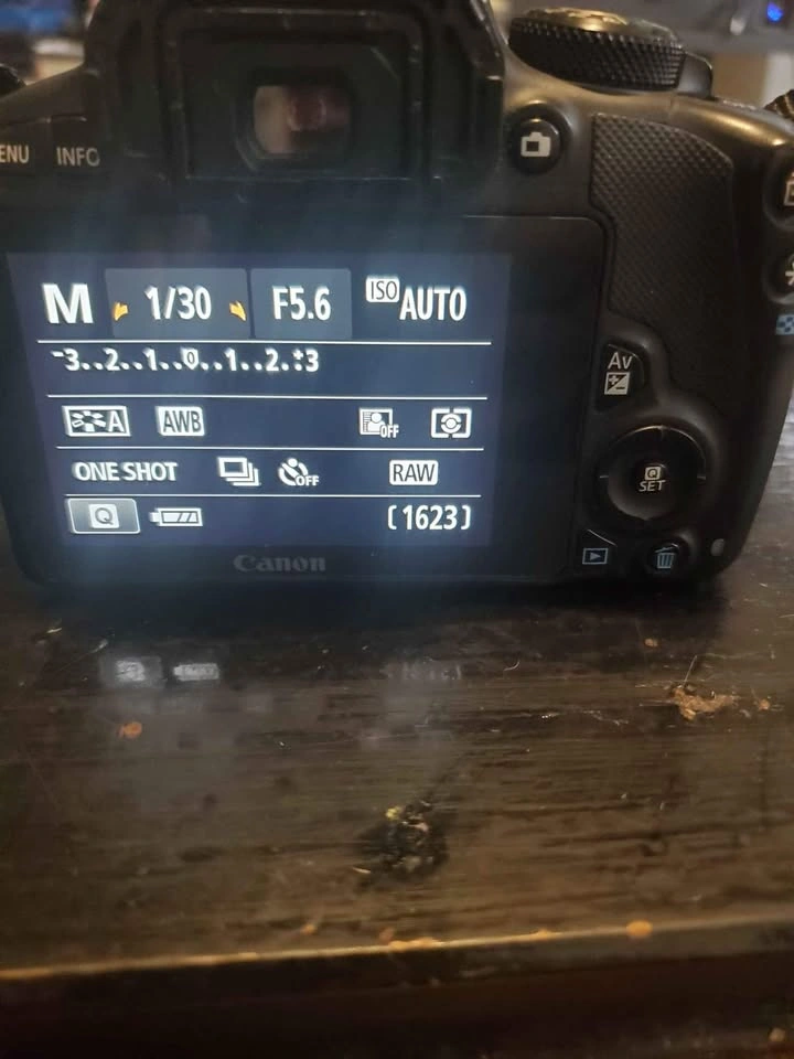 Canon Rebel SLI - photo 4