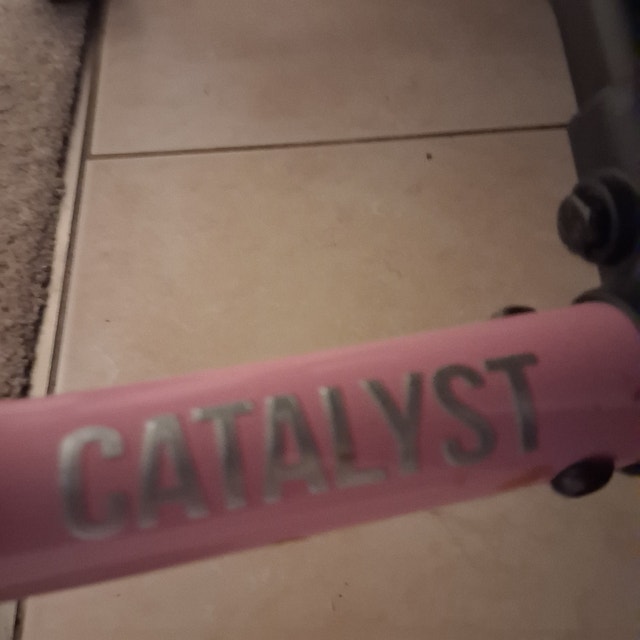 Catalyst Pink Wheelchair - Gently Used - photo 2