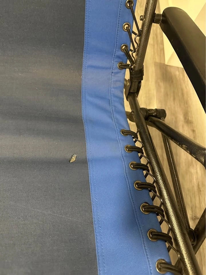 lounge chairs - photo 4