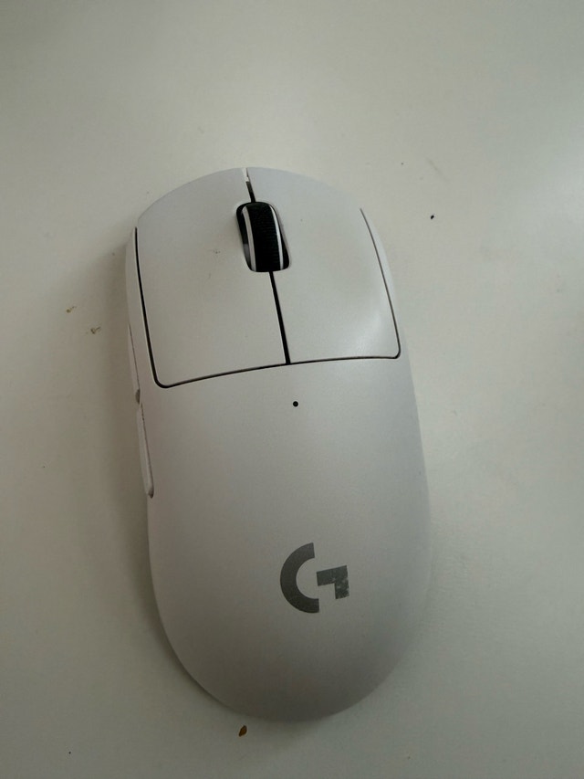 Logitech Pro X Superlight Wireless Gaming Mouse