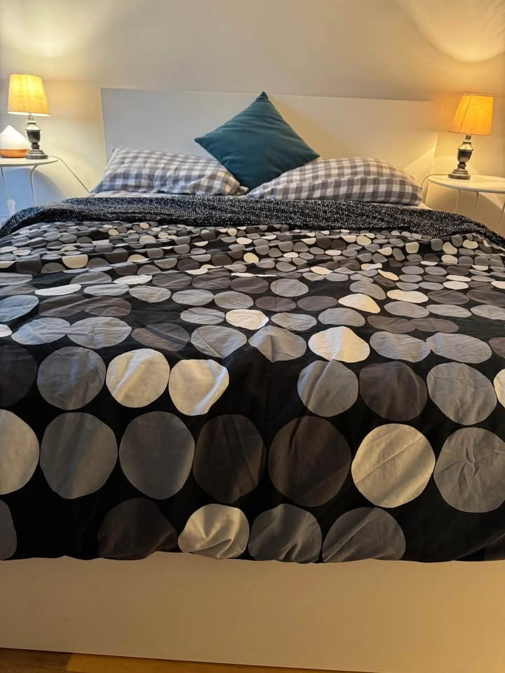 IKEA Malm Queen Bed Frame + LURØY Slatted Base - photo 5
