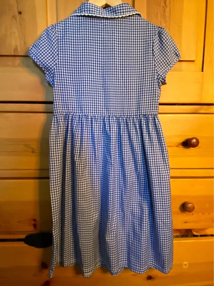 Dorothy Halloween Costume for kids sz 7-8yo - photo 2
