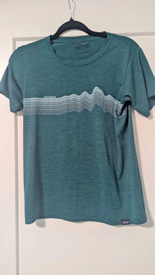 Patagonia T-shirt Small