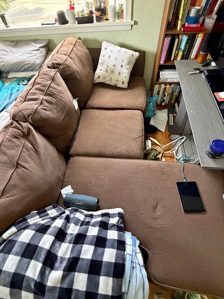 Couch sectional couch sofa