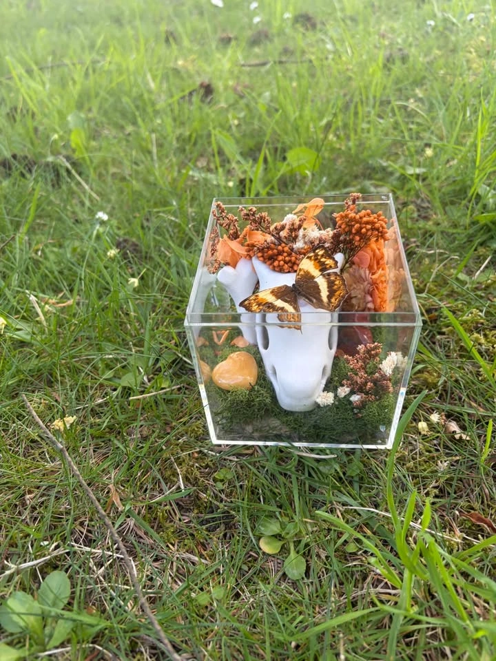 Butterfly Terrarium - Pokemon Skull - photo 3