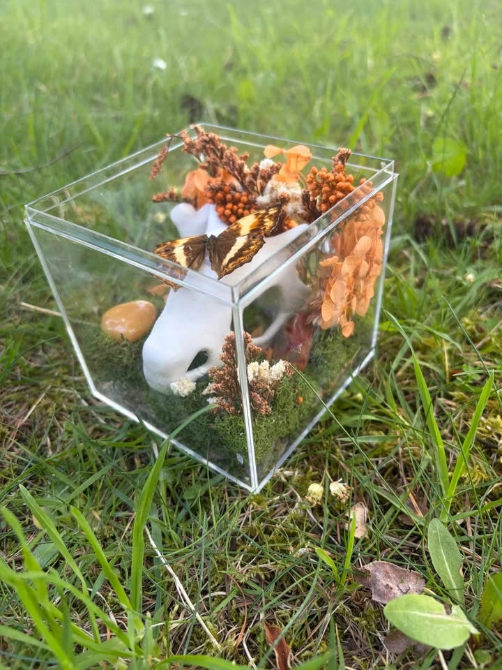 Butterfly Terrarium - Pokemon Skull - photo 4