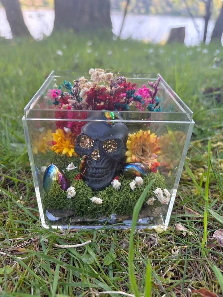 Insect Terrarium