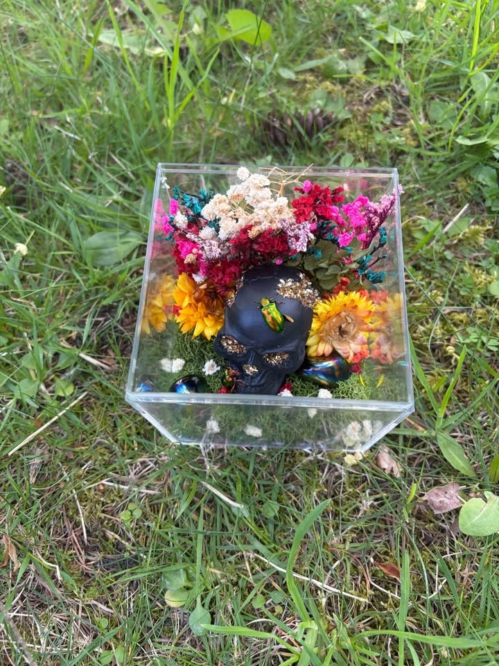 Insect Terrarium - photo 2