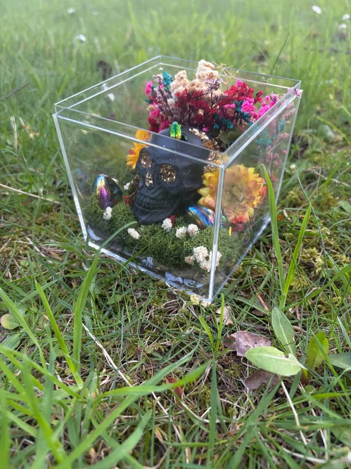 Insect Terrarium - photo 3