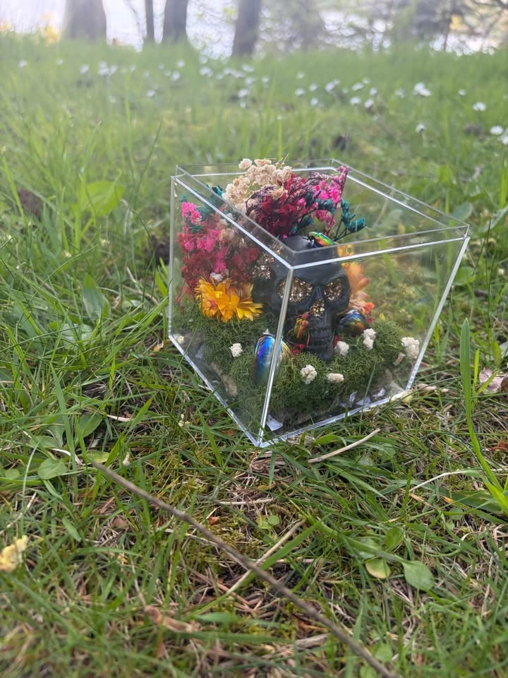 Insect Terrarium - photo 4