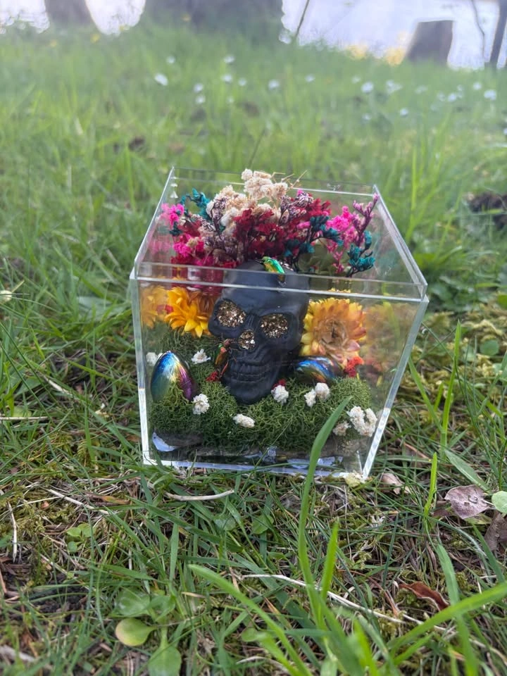 Insect Terrarium - photo 5