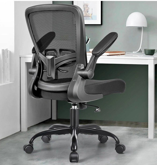 Ergonomic Office Chair with Lumbar Support - Black