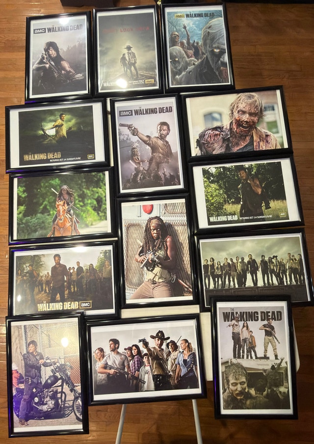 The Walking Dead Framed Posters (14)