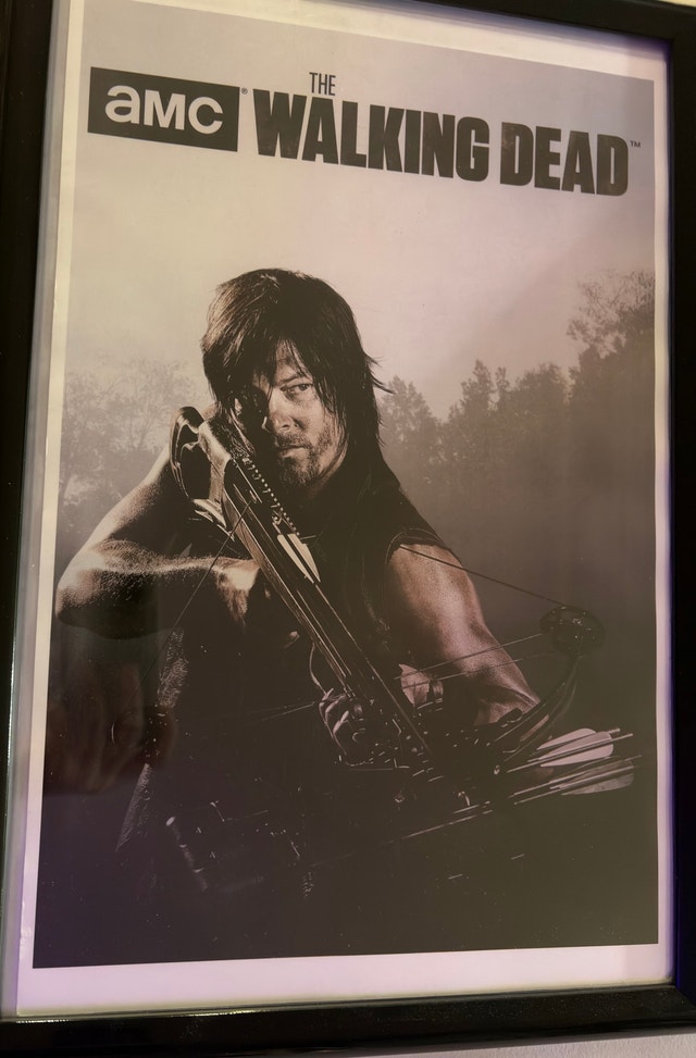 The Walking Dead Framed Posters (14) - photo 3