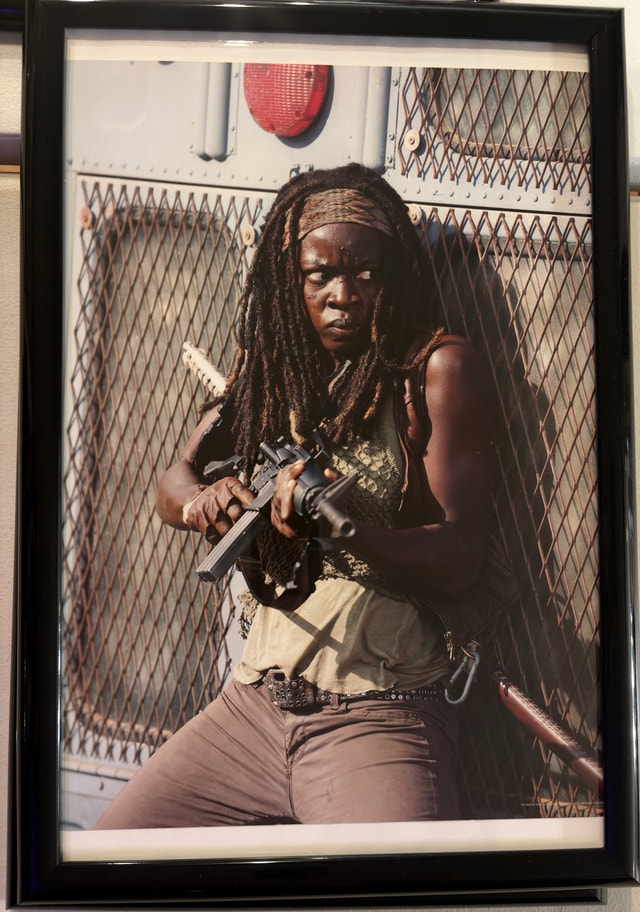 The Walking Dead Framed Posters (14) - photo 4