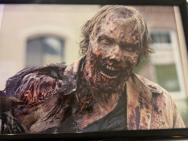 The Walking Dead Framed Posters (14) - photo 5