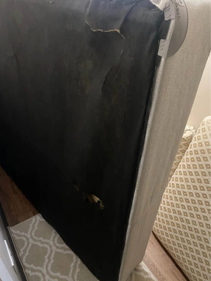 Full Size Box spring - photo 3