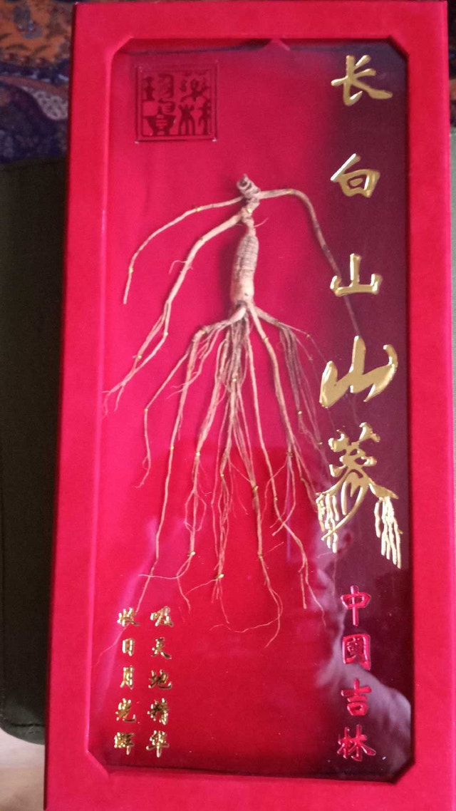 Chang Bai Shan Ginseng - photo 2