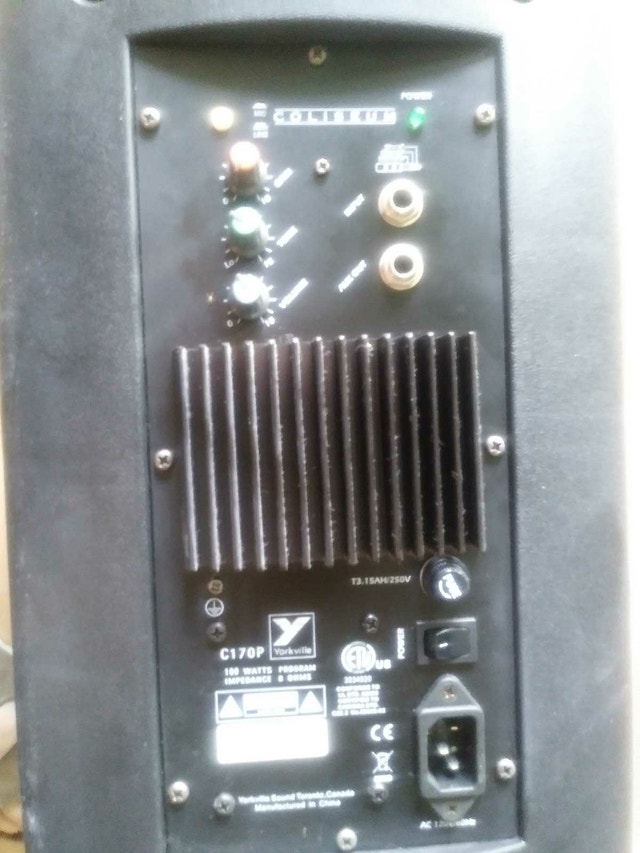 Yorkville C170P Coliseum Speaker - photo 2