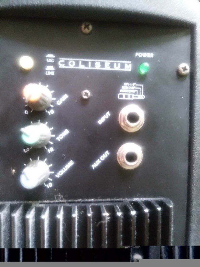 Yorkville C170P Coliseum Speaker - photo 3