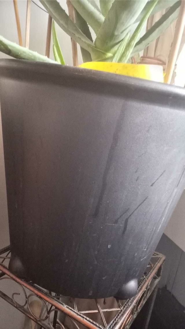 Large Aloe Plant in self-watering Ikea Planter - photo 4