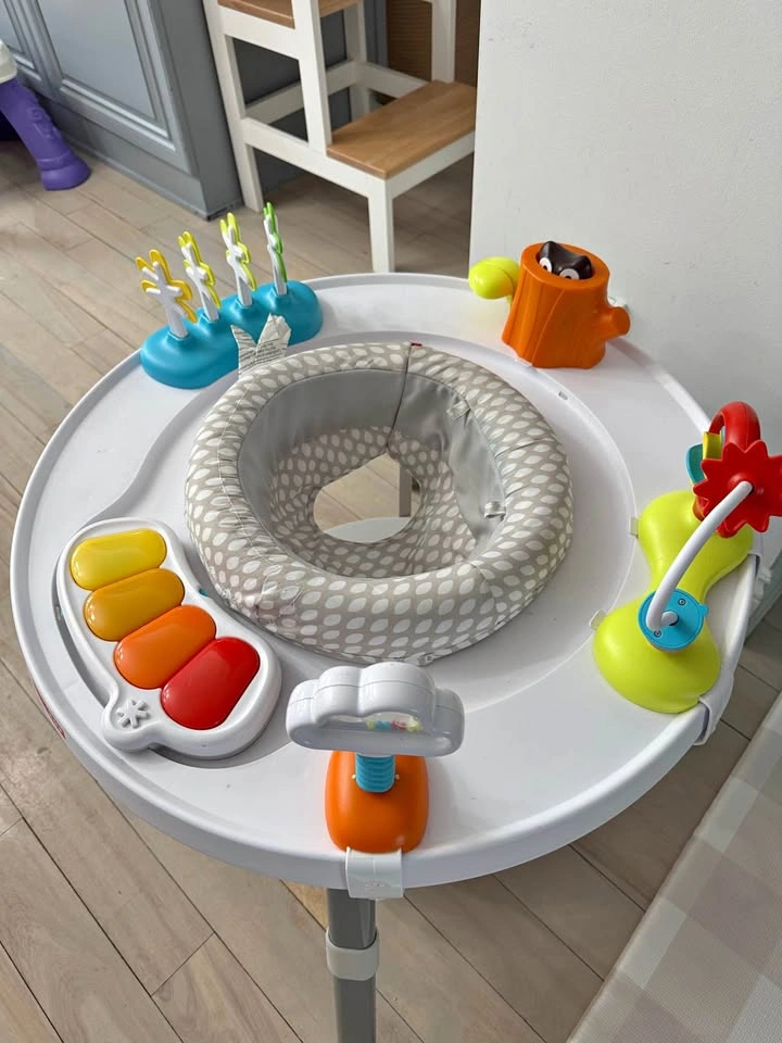 Skip hop activity center