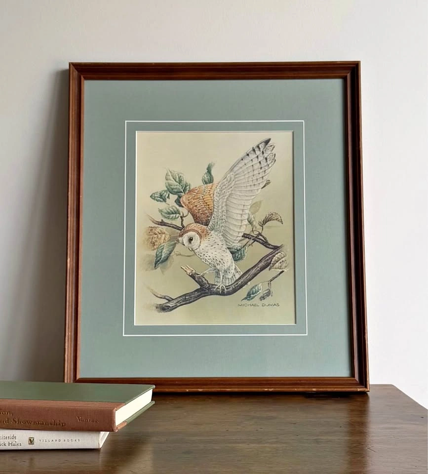 Vintage Barn Owl Framed Art Print by Michael Dumas
