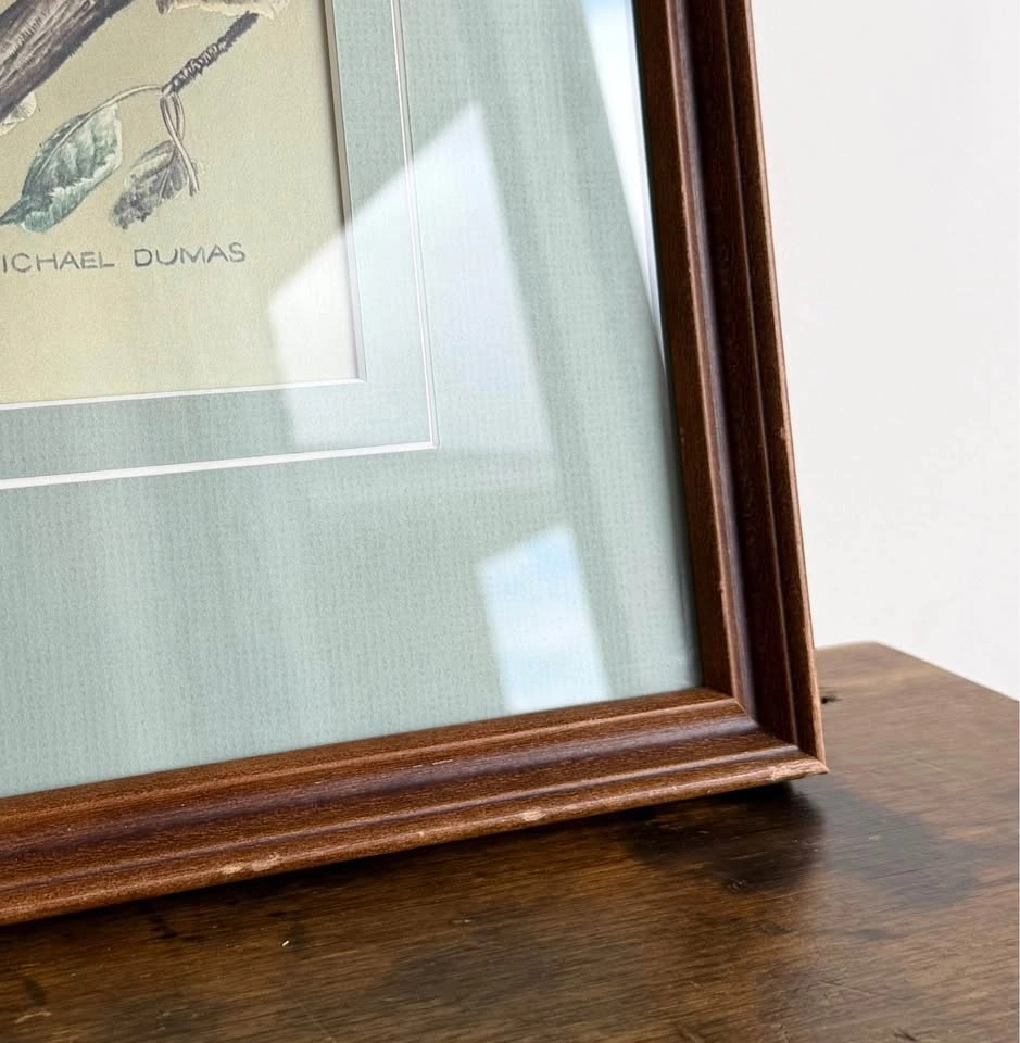 Vintage Barn Owl Framed Art Print by Michael Dumas - photo 3