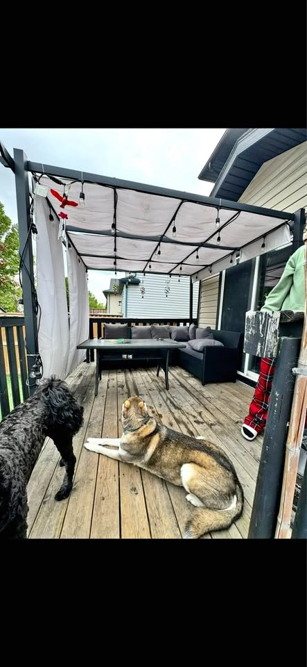 10x10 Pergola - Good Used Condition