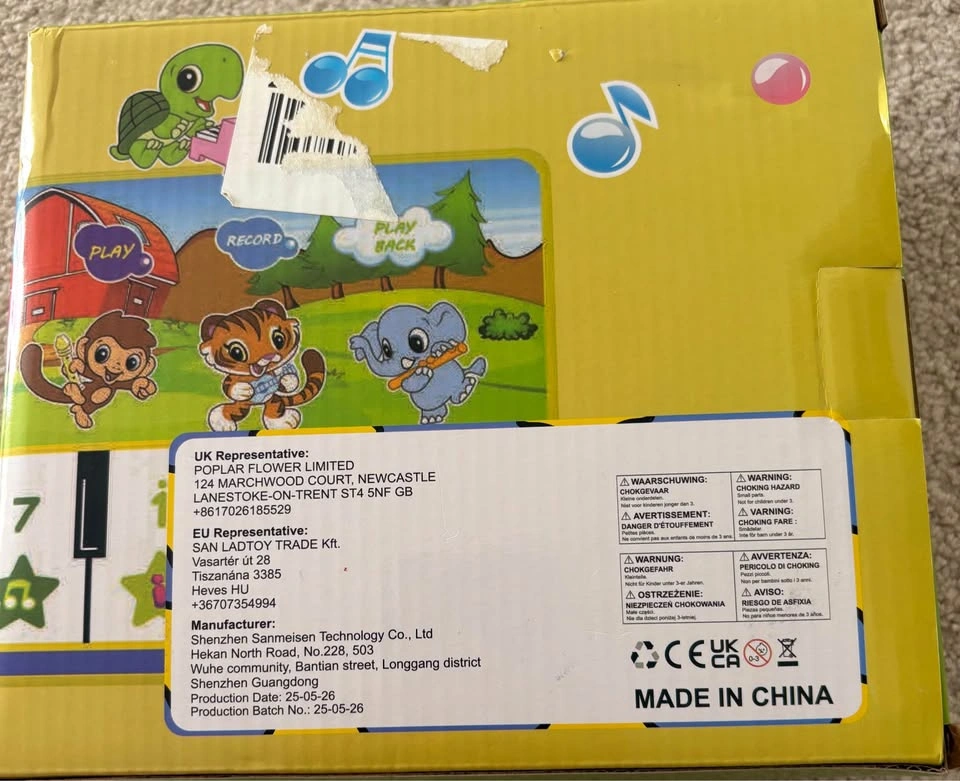 Baby Piano Mat - photo 2